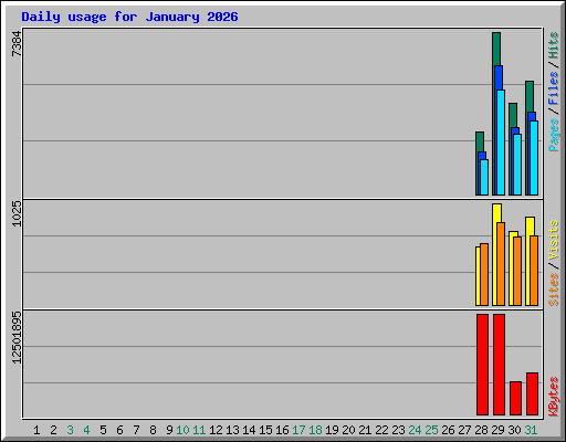 Daily usage for January 2026