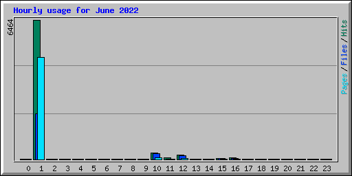 Hourly usage for June 2022