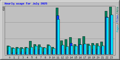 Hourly usage for July 2025