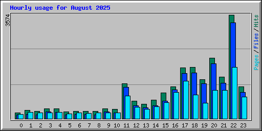 Hourly usage for August 2025
