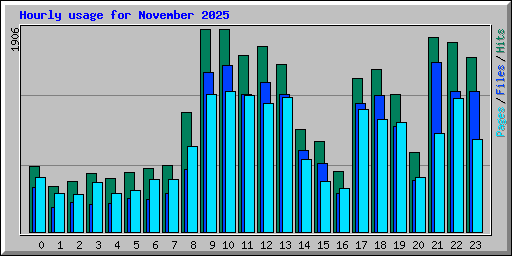 Hourly usage for November 2025