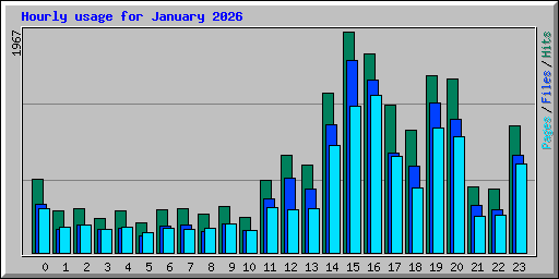 Hourly usage for January 2026