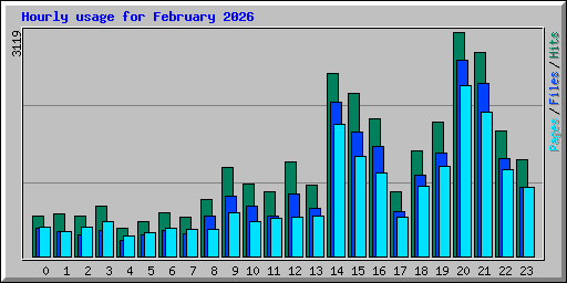 Hourly usage for February 2026