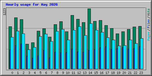 Hourly usage for May 2026