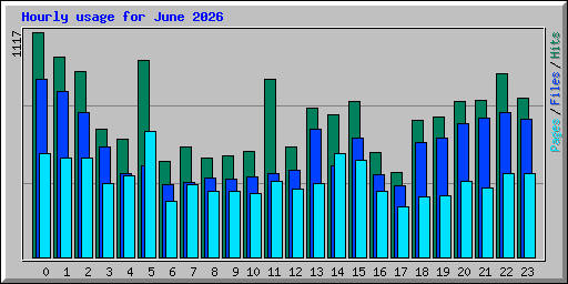 Hourly usage for June 2026