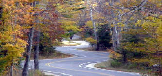picture of the winding road through a heavy wooded area