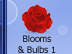Blooms & Bulbs #1