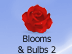 Blooms & Bulbs #2