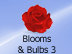 Blooms & Bulbs #3