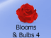 Blooms & Bulbs #4