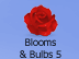 Blooms & Bulbs #5