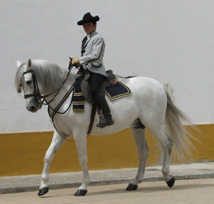 We will also visit Jerez